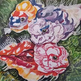 Аквариум. 3вариант.