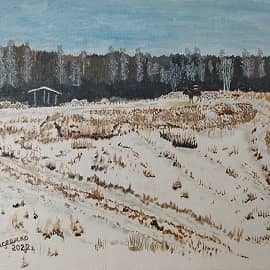 Охота с вышки