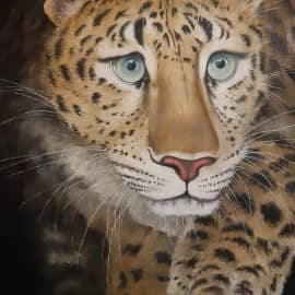 Сама осторожность