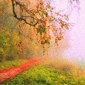 Цветные туманы.