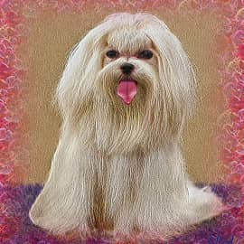 Животные 050