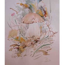 Белый гриб 2020  40х30 бумага акварель