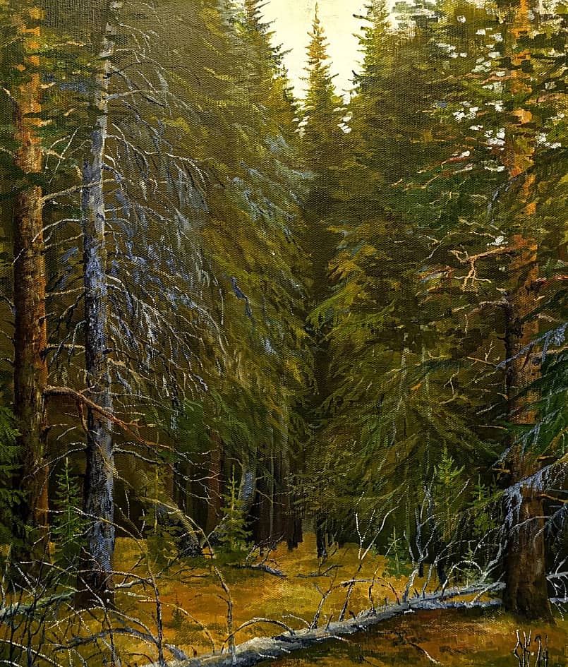 В лесах дремучих...