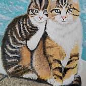 Котики на берегу