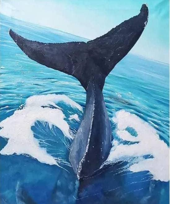Китовий хвост