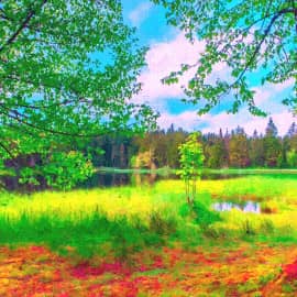 На берегу озера-2