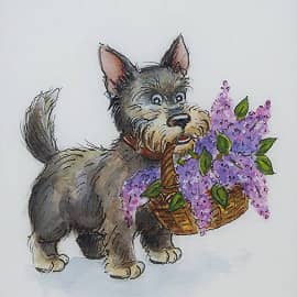 Открытка - 14