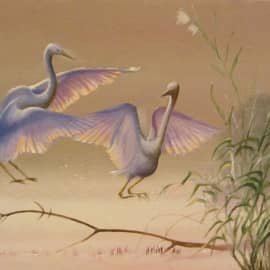 утро над водой