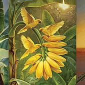Лиза Рэй - Тропический сад 3 (1), художник Лиза Рэй