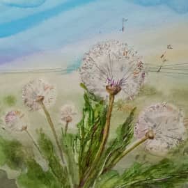 Одуванчики. Свободный этюд
