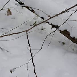 Времена года