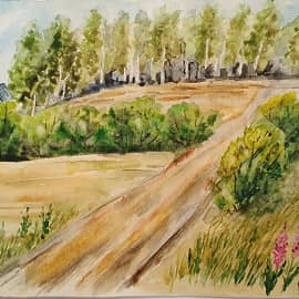 Дорога на дачу