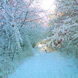 Утро настало.