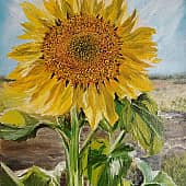 Солнышко на ножке