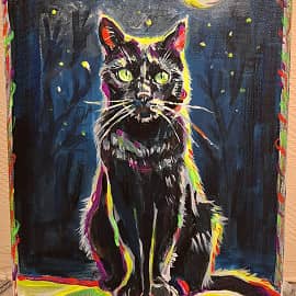 Магический кот