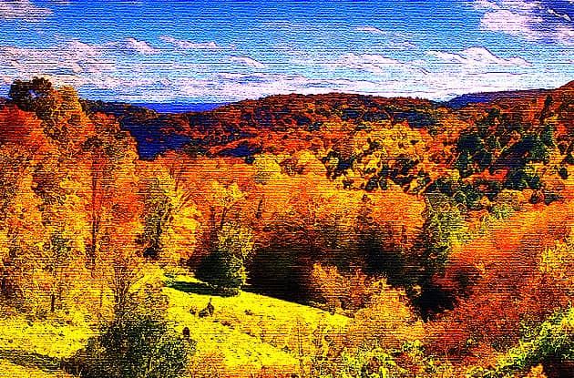 Осенние холмы