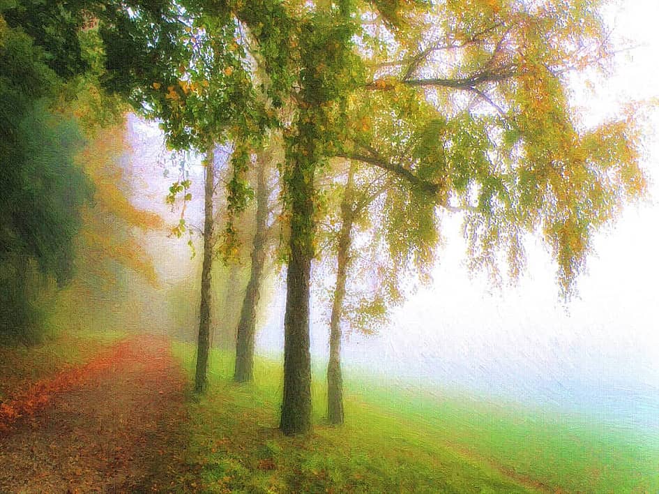 Осенний туман.