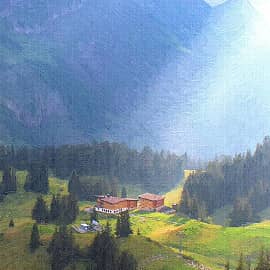 в потоках солнечного света