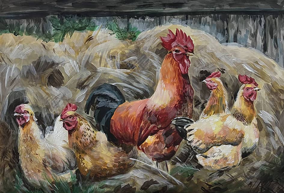 Петух и курицы