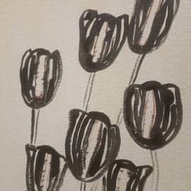 Чёрные тюльпаны 2023-1