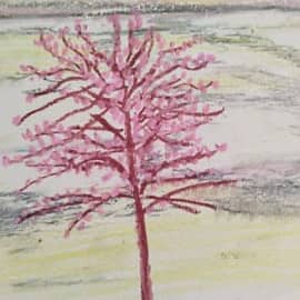 Дерево, 12.08.2025