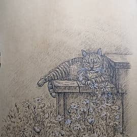 Кошка на природе