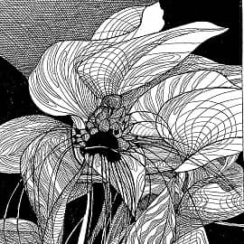 Линейная экзотика)