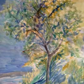 Дерево в лучах заката