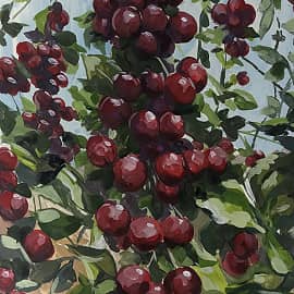 Спелая вишня