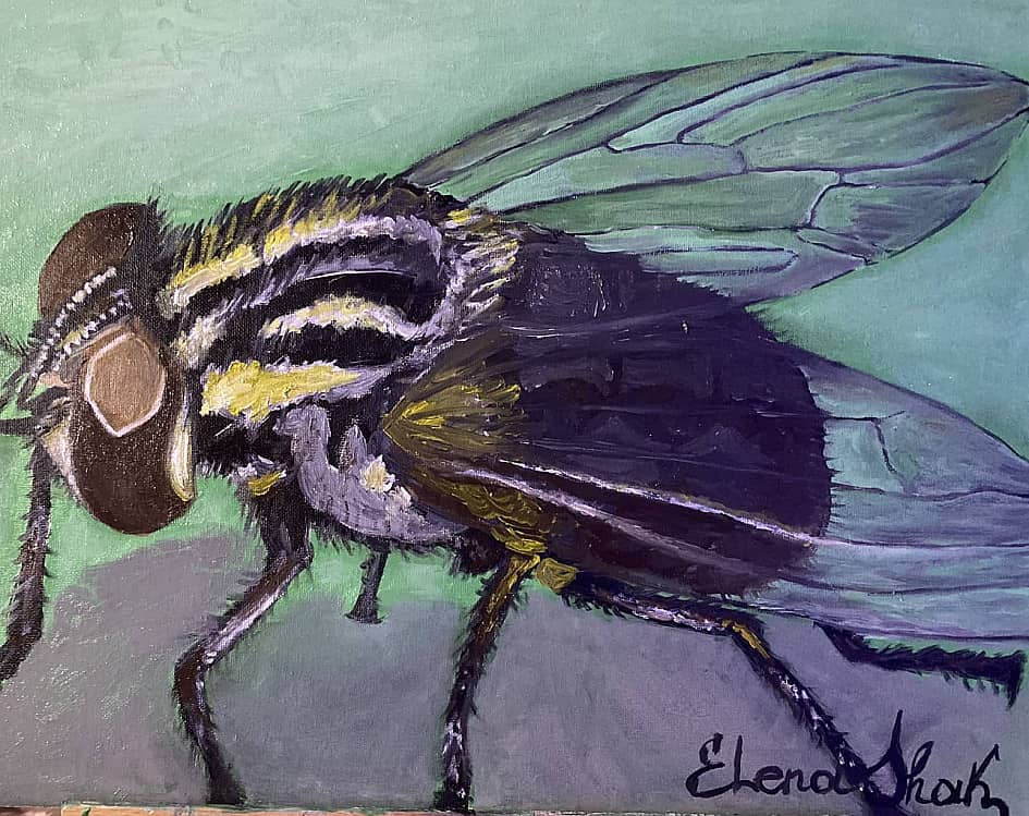 Муха в коричневом тренде