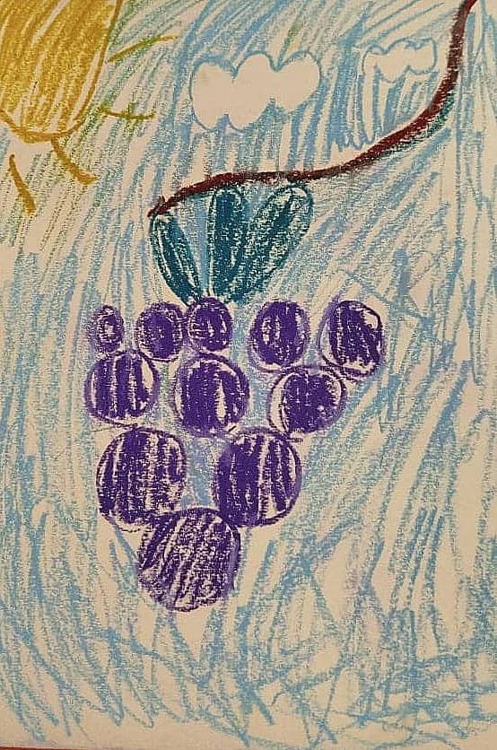 Виноградка