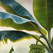 Лиза Рэй - Тропический сад 1 (2), художник Лиза Рэй