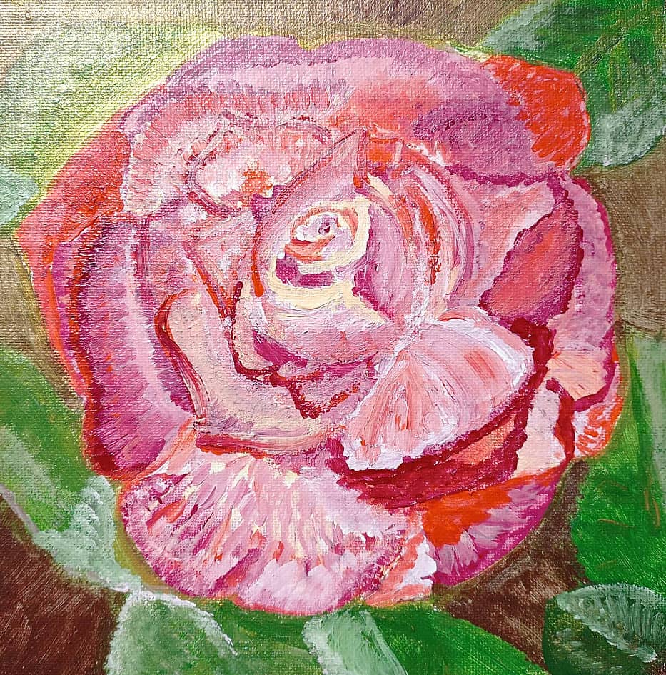 Сиренево-красная роза