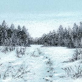 Среди зимы 36  Among the Winter 36