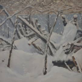 Зимний этюд на даче