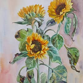 Букет подсолнухи