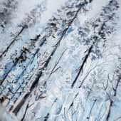 Ледяная красота (2), художник Карина Андреева