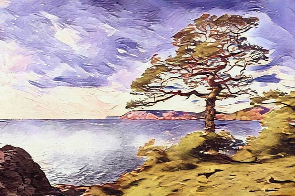 Сосна у моря.