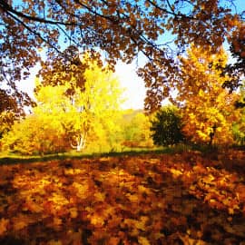 Ковёр из листьев-2