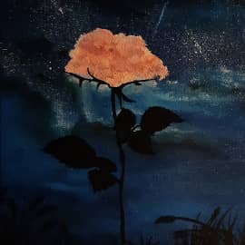 Ночь фантазий