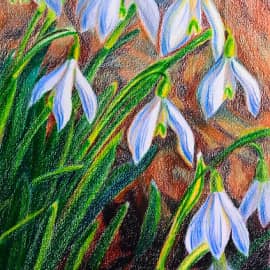 Подснежники