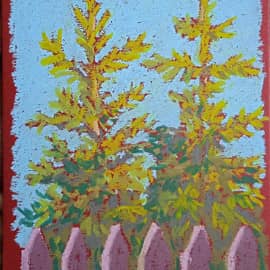 Ели за забором