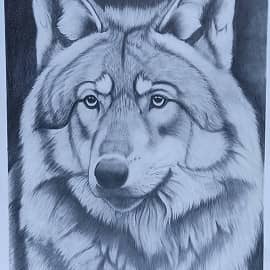 Спокойствие охотника