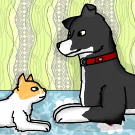 Мои питомцы