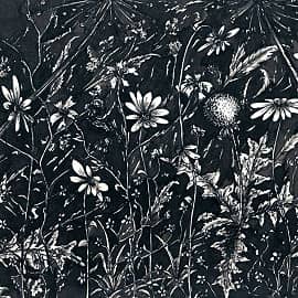 Летняя неразбериха  Summer Confusion