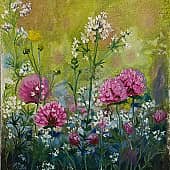 Клевер, подмаренник