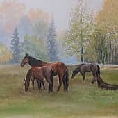 Гнедая масть