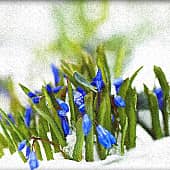 Навстречу весне. (1), художник Alex-08