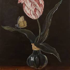 Старинный тюльпан