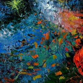 Колючие звезды  Prickly Stars